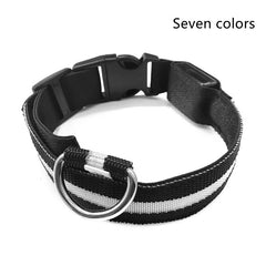 Collare luminoso a LED in nylon per animali domestici, sicurezza notturna, lampeggiante, che si illumina al buio, per cani e gatti, regolabile, forniture per animali domestici