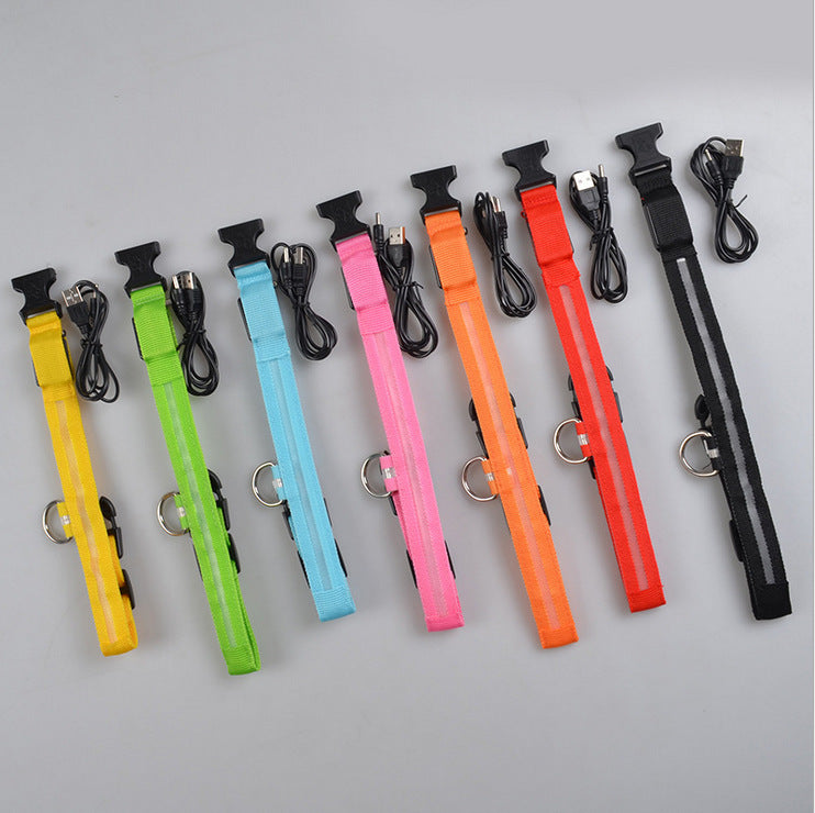Collare luminoso a LED in nylon per animali domestici, sicurezza notturna, lampeggiante, che si illumina al buio, per cani e gatti, regolabile, forniture per animali domestici