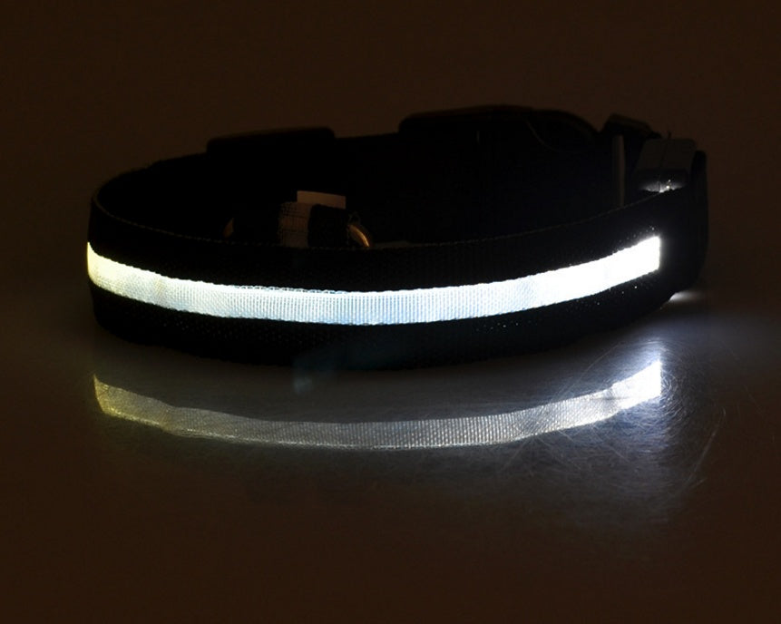 Collare luminoso a LED in nylon per animali domestici, sicurezza notturna, lampeggiante, che si illumina al buio, per cani e gatti, regolabile, forniture per animali domestici