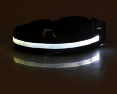 Collare luminoso a LED in nylon per animali domestici, sicurezza notturna, lampeggiante, che si illumina al buio, per cani e gatti, regolabile, forniture per animali domestici