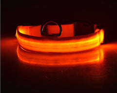 Collare luminoso a LED in nylon per animali domestici, sicurezza notturna, lampeggiante, che si illumina al buio, per cani e gatti, regolabile, forniture per animali domestici