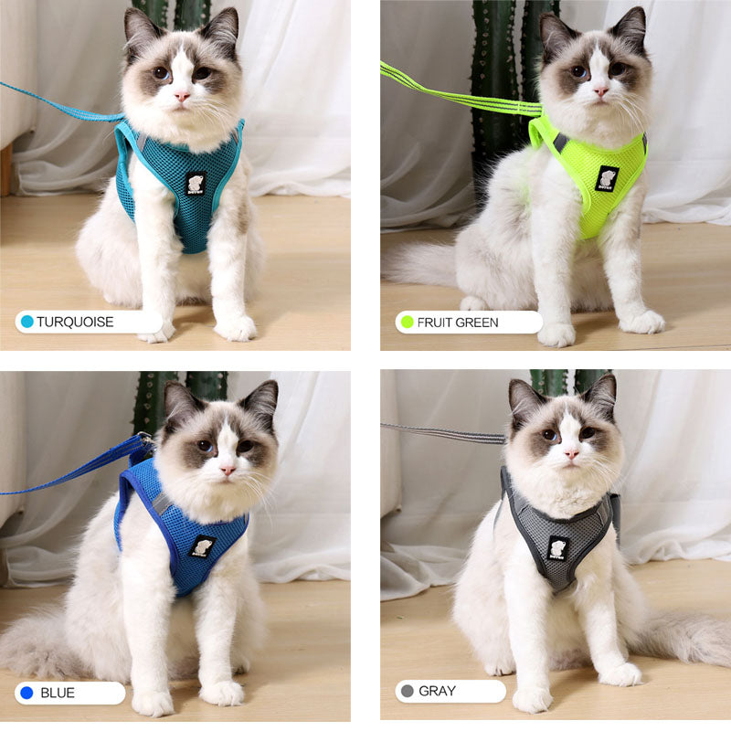 Imbracatura per gatti antigraffio