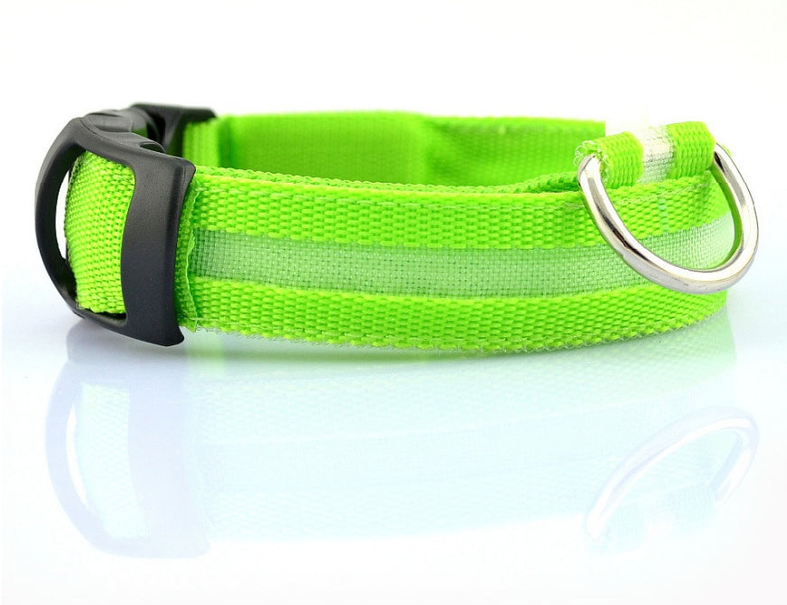 Collare luminoso a LED in nylon per animali domestici, sicurezza notturna, lampeggiante, che si illumina al buio, per cani e gatti, regolabile, forniture per animali domestici