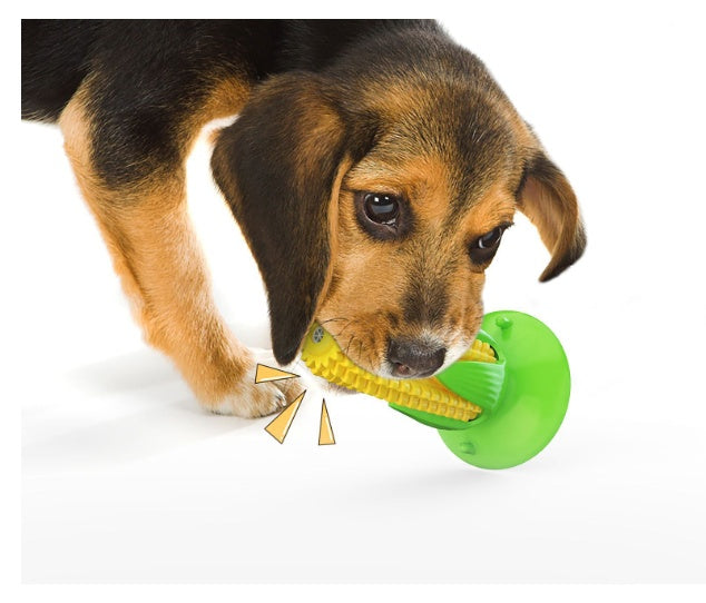 Ventosa mais che galleggia sull'acqua cane