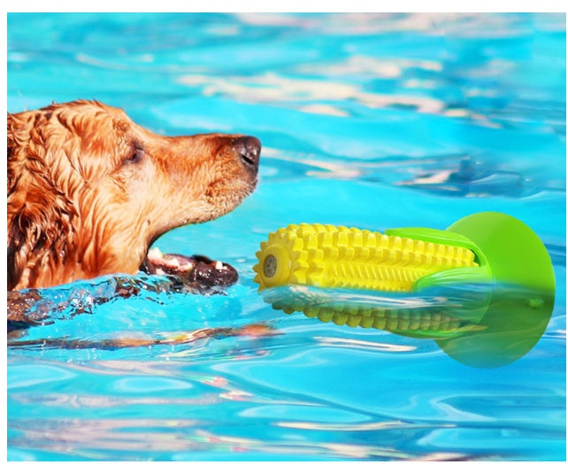Ventosa mais che galleggia sull'acqua cane