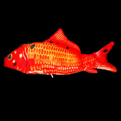 Versione senza erba gatta - Simulazione di pesce elettrico saltellante Giocattolo pesce elettrico