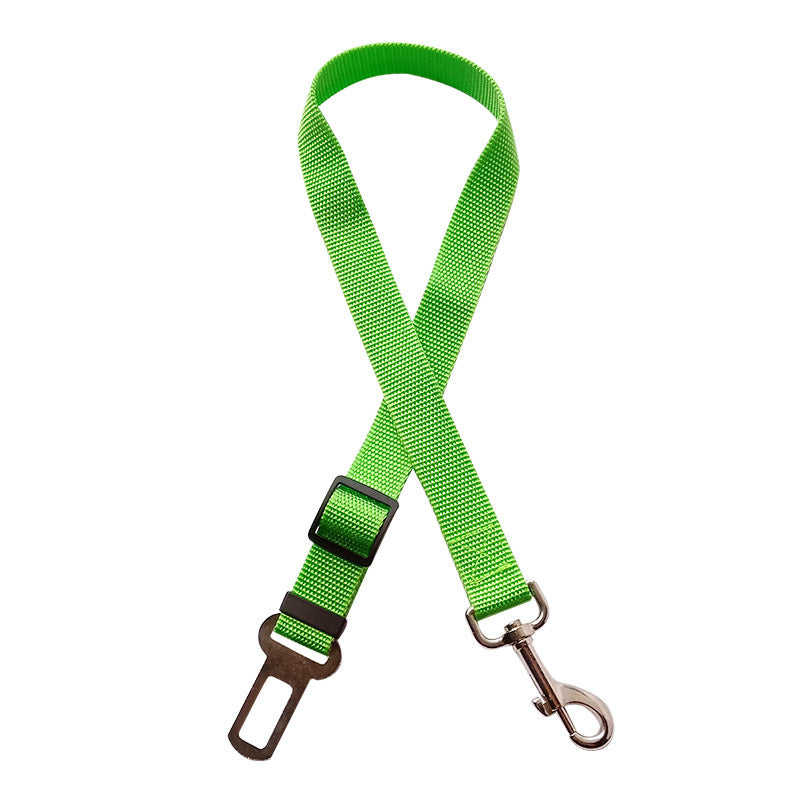 Car Seat Belt Lead