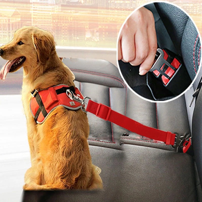 Car Seat Belt Lead