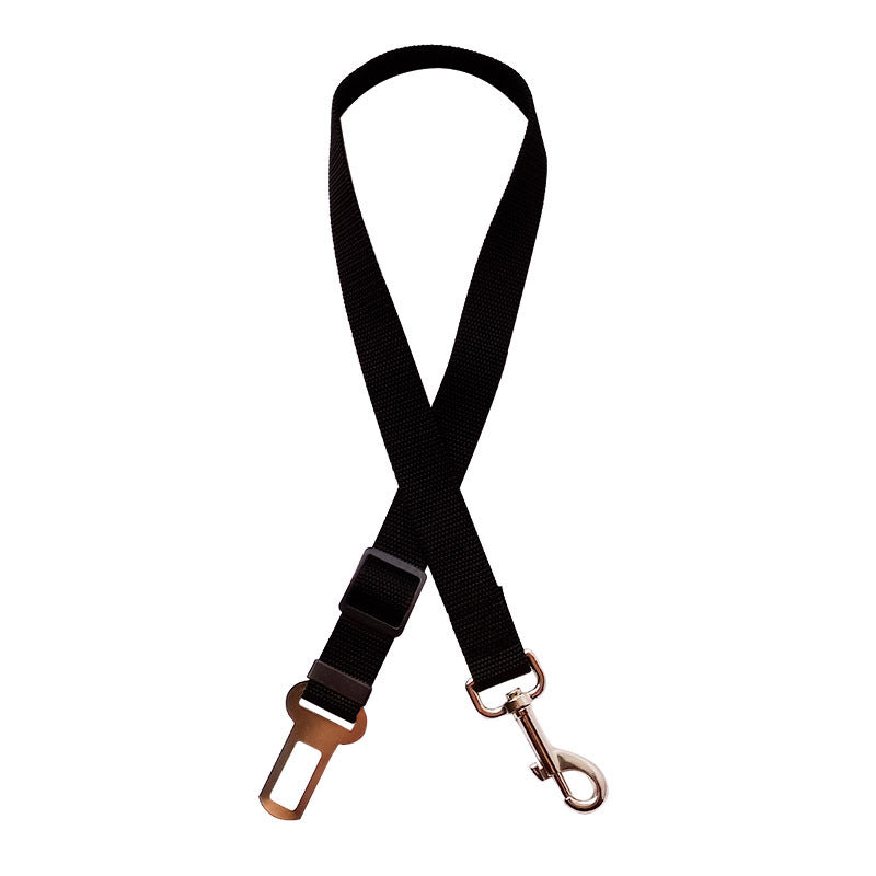 Car Seat Belt Lead