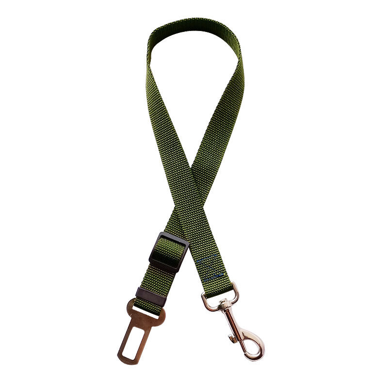 Car Seat Belt Lead