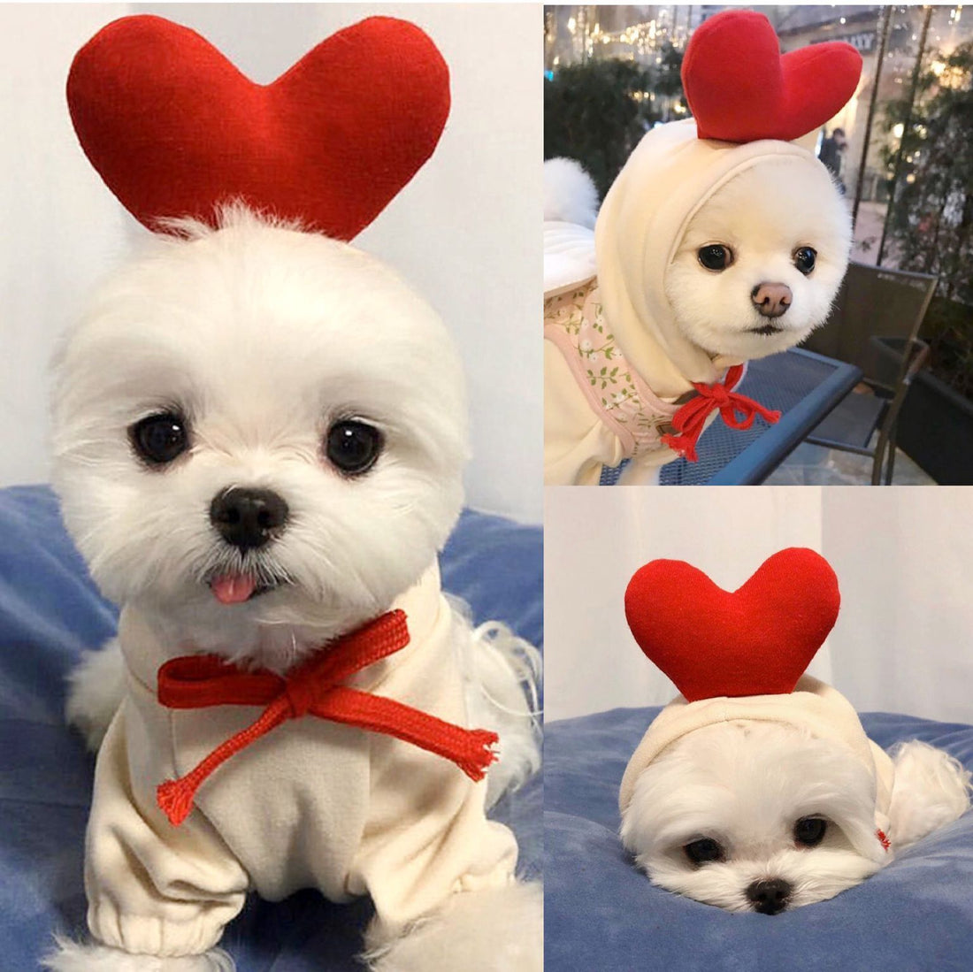 Vestiti per cani carini con frutta, per cani di piccola taglia, felpe con cappuccio, pile caldo invernale, abbigliamento per animali domestici, costume per cuccioli, gatti, cappotto per outfit francese Chihuahua