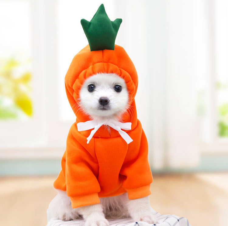 Vestiti per cani carini con frutta, per cani di piccola taglia, felpe con cappuccio, pile caldo invernale, abbigliamento per animali domestici, costume per cuccioli, gatti, cappotto per outfit francese Chihuahua