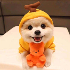 Vestiti per cani carini con frutta, per cani di piccola taglia, felpe con cappuccio, pile caldo invernale, abbigliamento per animali domestici, costume per cuccioli, gatti, cappotto per outfit francese Chihuahua