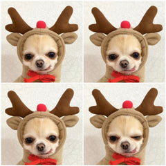 Vestiti per cani carini con frutta, per cani di piccola taglia, felpe con cappuccio, pile caldo invernale, abbigliamento per animali domestici, costume per cuccioli, gatti, cappotto per outfit francese Chihuahua