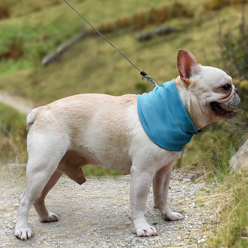 Nuova bandana rinfrescante istantanea per animali domestici, foulard per cani, asciugamano rinfrescante estivo, collare per cani