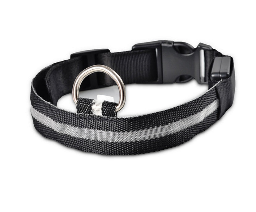 Collare luminoso a LED in nylon per animali domestici, sicurezza notturna, lampeggiante, che si illumina al buio, per cani e gatti, regolabile, forniture per animali domestici