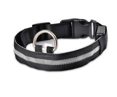 Collare luminoso a LED in nylon per animali domestici, sicurezza notturna, lampeggiante, che si illumina al buio, per cani e gatti, regolabile, forniture per animali domestici