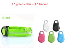 LED Safety Dog Collar