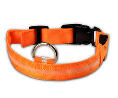Collare luminoso a LED in nylon per animali domestici, sicurezza notturna, lampeggiante, che si illumina al buio, per cani e gatti, regolabile, forniture per animali domestici