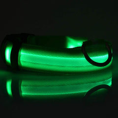 Collare luminoso a LED in nylon per animali domestici, sicurezza notturna, lampeggiante, che si illumina al buio, per cani e gatti, regolabile, forniture per animali domestici