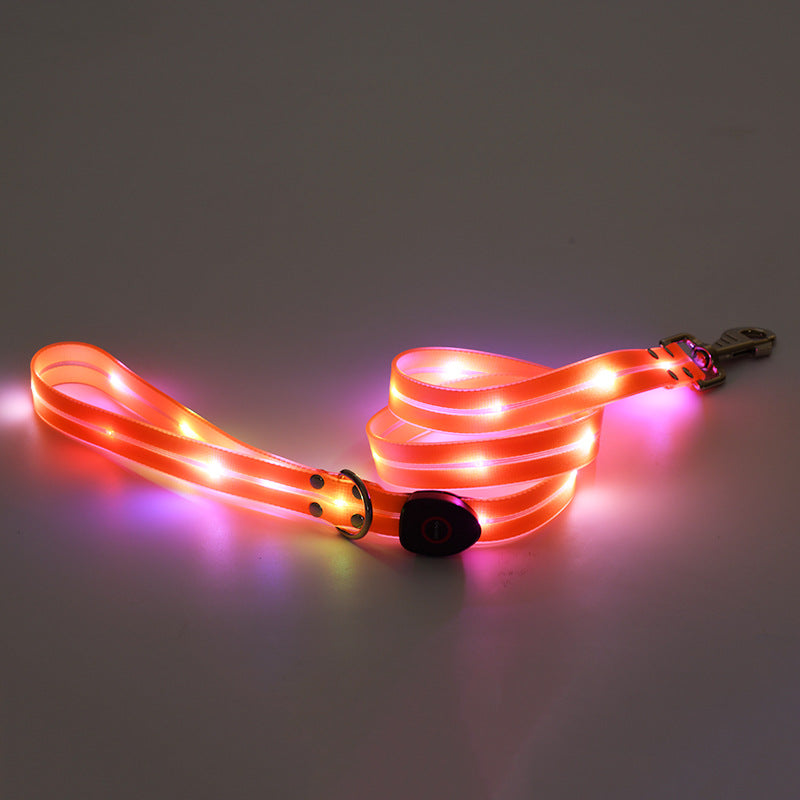 Collare Luminoso a LED Ricaricabile per Animali Domestici in Nylon con Corda da Tiro