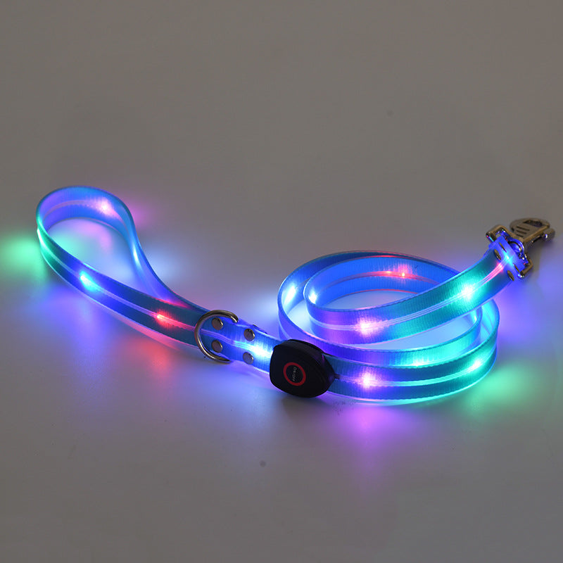 Collare Luminoso a LED Ricaricabile per Animali Domestici in Nylon con Corda da Tiro