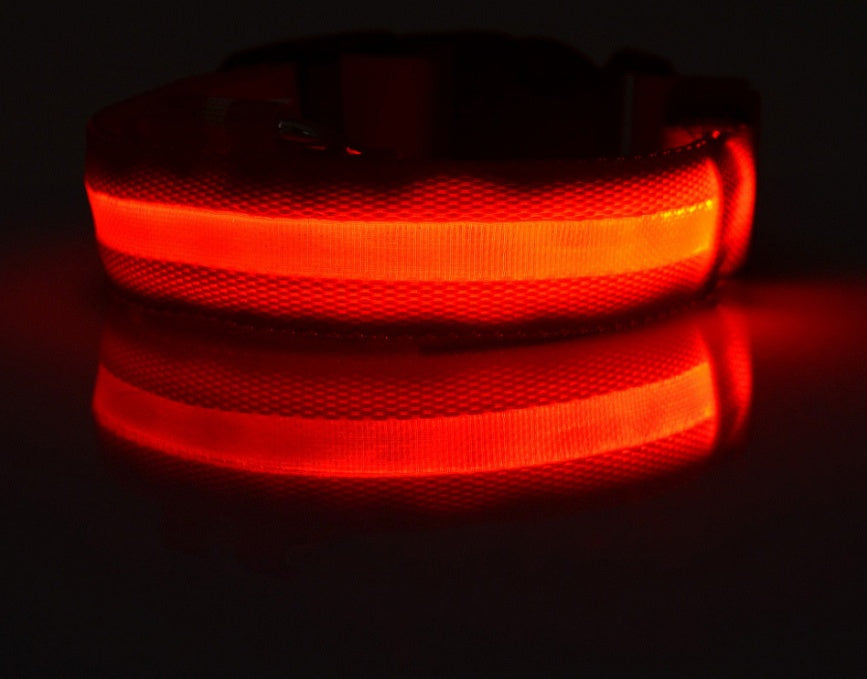 Collare luminoso a LED in nylon per animali domestici, sicurezza notturna, lampeggiante, che si illumina al buio, per cani e gatti, regolabile, forniture per animali domestici