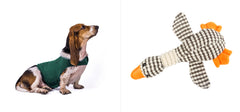 Gilet Antistress Estivo Terapeutico per Calmante Gatto Abiti Comfort per Cani