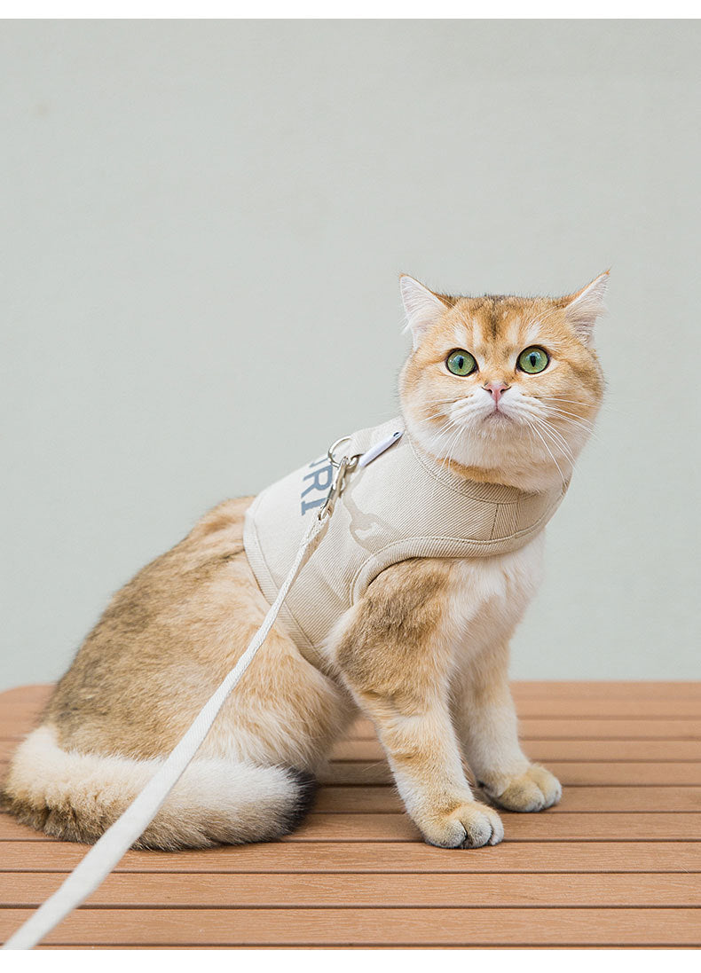 Nuovo Set di Pettorina e Guinzaglio per Cani in Tessuto Intrecciato, Pettorina a Gilet per Gatti e Cuccioli, Guinzaglio per Cani di Piccola e Media Taglia, Trazione in Abiti per Animali Domestici
