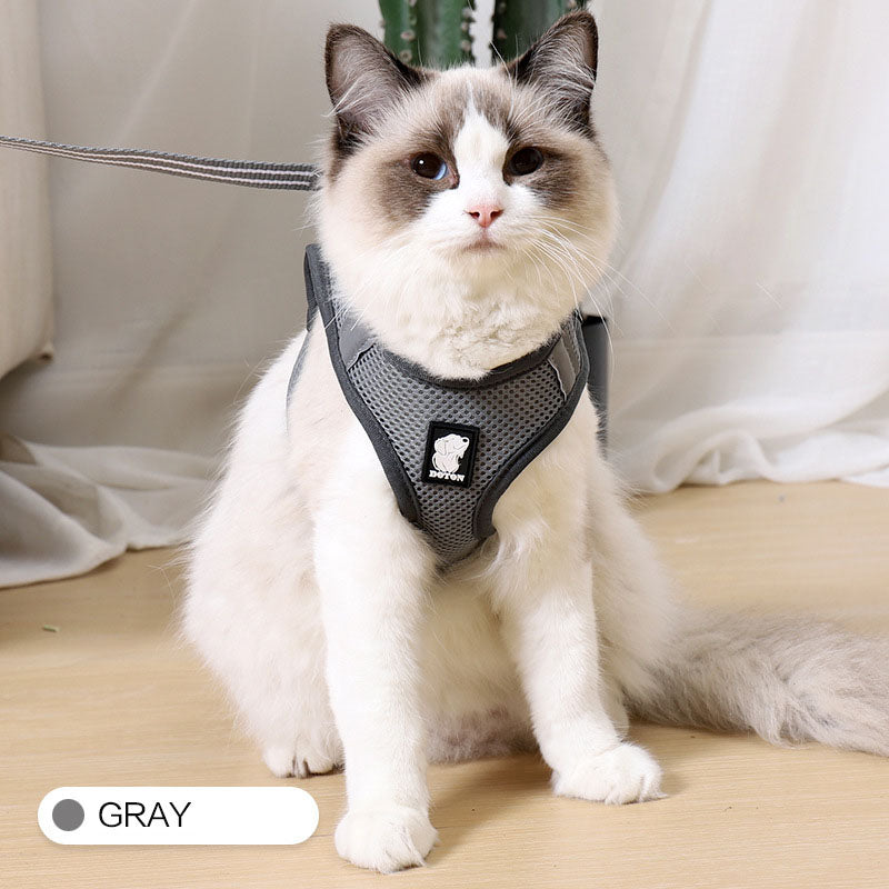 Imbracatura per gatti antigraffio