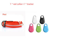 LED Safety Dog Collar
