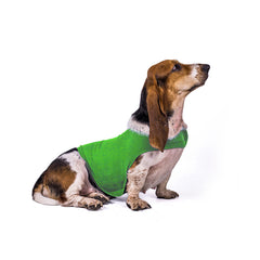 Gilet Antistress Estivo Terapeutico per Calmante Gatto Abiti Comfort per Cani