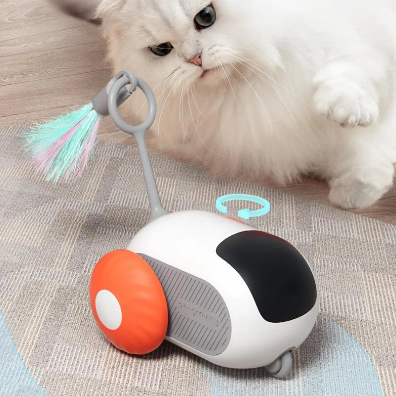 Remote-Control Smart Cat Car