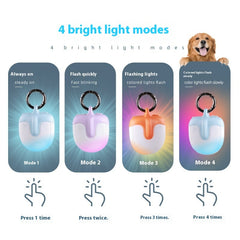 Luce a LED a forma di U a doppio lato con fragola per passeggiate con cani