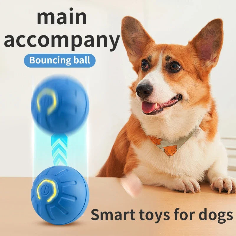 Pallina Giocattolo Intelligente per Cani, Giocattolo Interattivo Elettronico per Animali Domestici, Pallina Rimbalzante Automatica con Ricarica USB per Cuccioli, Regalo di Compleanno, Prodotto per Gatti