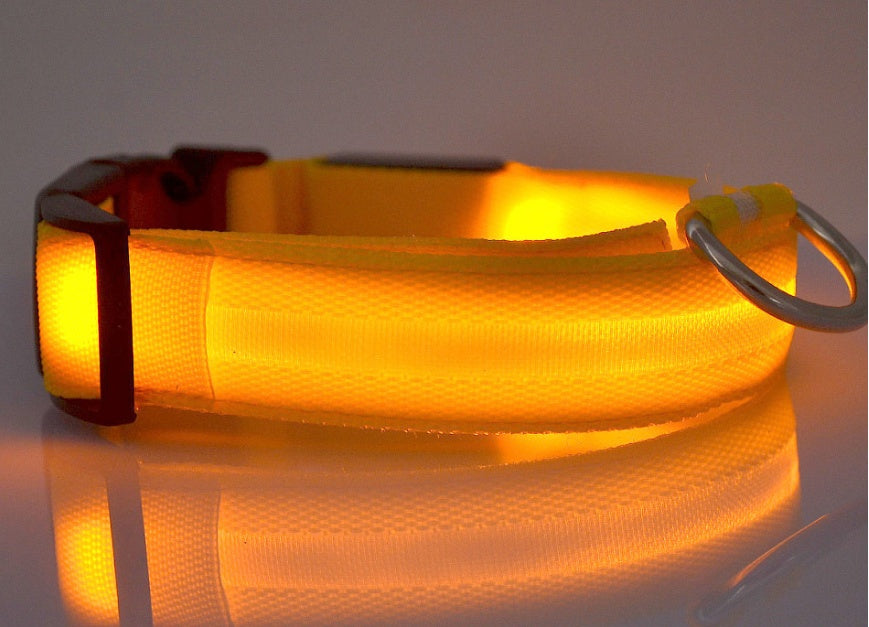 Collare luminoso a LED in nylon per animali domestici, sicurezza notturna, lampeggiante, che si illumina al buio, per cani e gatti, regolabile, forniture per animali domestici