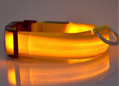 Collare luminoso a LED in nylon per animali domestici, sicurezza notturna, lampeggiante, che si illumina al buio, per cani e gatti, regolabile, forniture per animali domestici