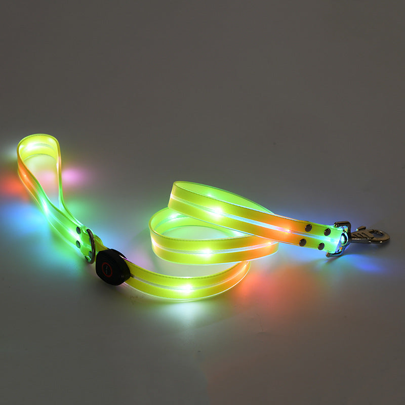 Collare Luminoso a LED Ricaricabile per Animali Domestici in Nylon con Corda da Tiro