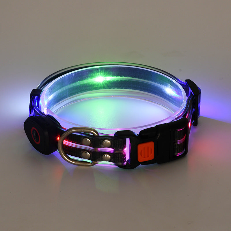 Collare Luminoso a LED Ricaricabile per Animali Domestici in Nylon con Corda da Tiro