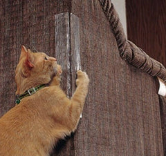 Protezioni antigraffio per divano per gatti