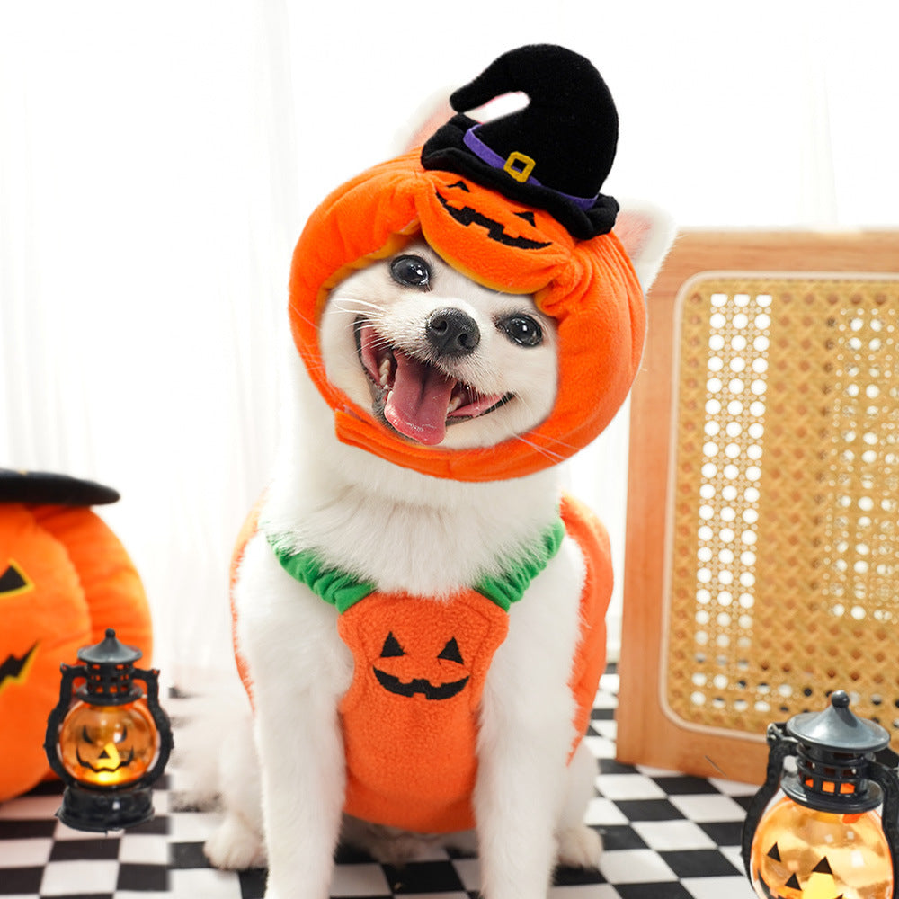Gilet Zucca di Halloween per Cani Gatti Costume Festivo per Animali Domestici Imbracatura Divertente Abbigliamento di Ringraziamento Natale per Piccoli Animali