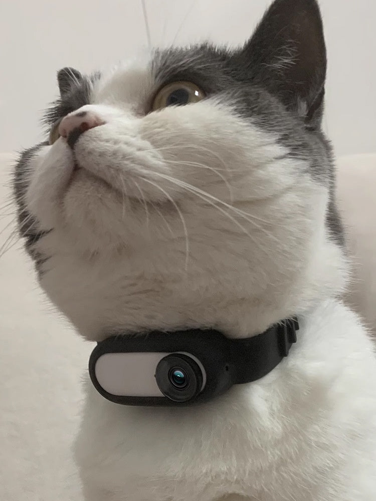 Wireless Collar Camera