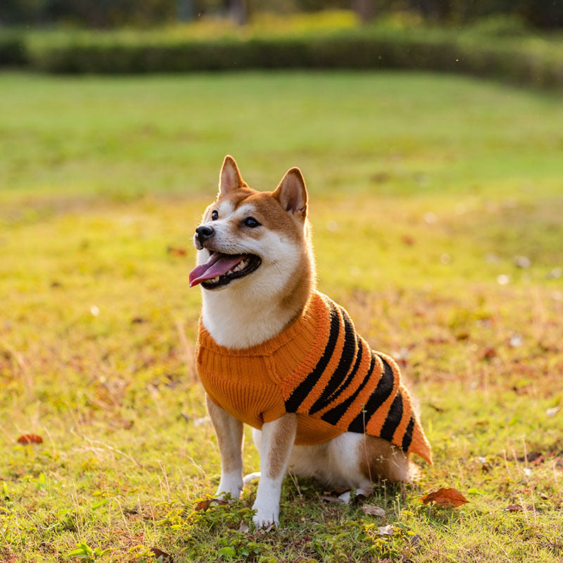 Maglioni di Halloween per cani, costume per animali domestici, maglione Teddy caldo per il tempo libero, abiti Cosplay per cani, vestiti per animali domestici
