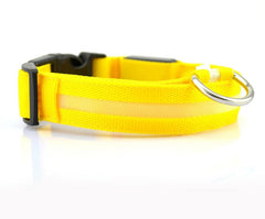 Collare luminoso a LED in nylon per animali domestici, sicurezza notturna, lampeggiante, che si illumina al buio, per cani e gatti, regolabile, forniture per animali domestici