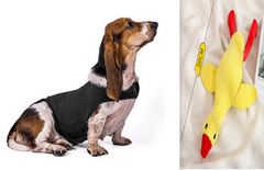 Gilet Antistress Estivo Terapeutico per Calmante Gatto Abiti Comfort per Cani