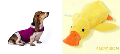 Gilet Antistress Estivo Terapeutico per Calmante Gatto Abiti Comfort per Cani