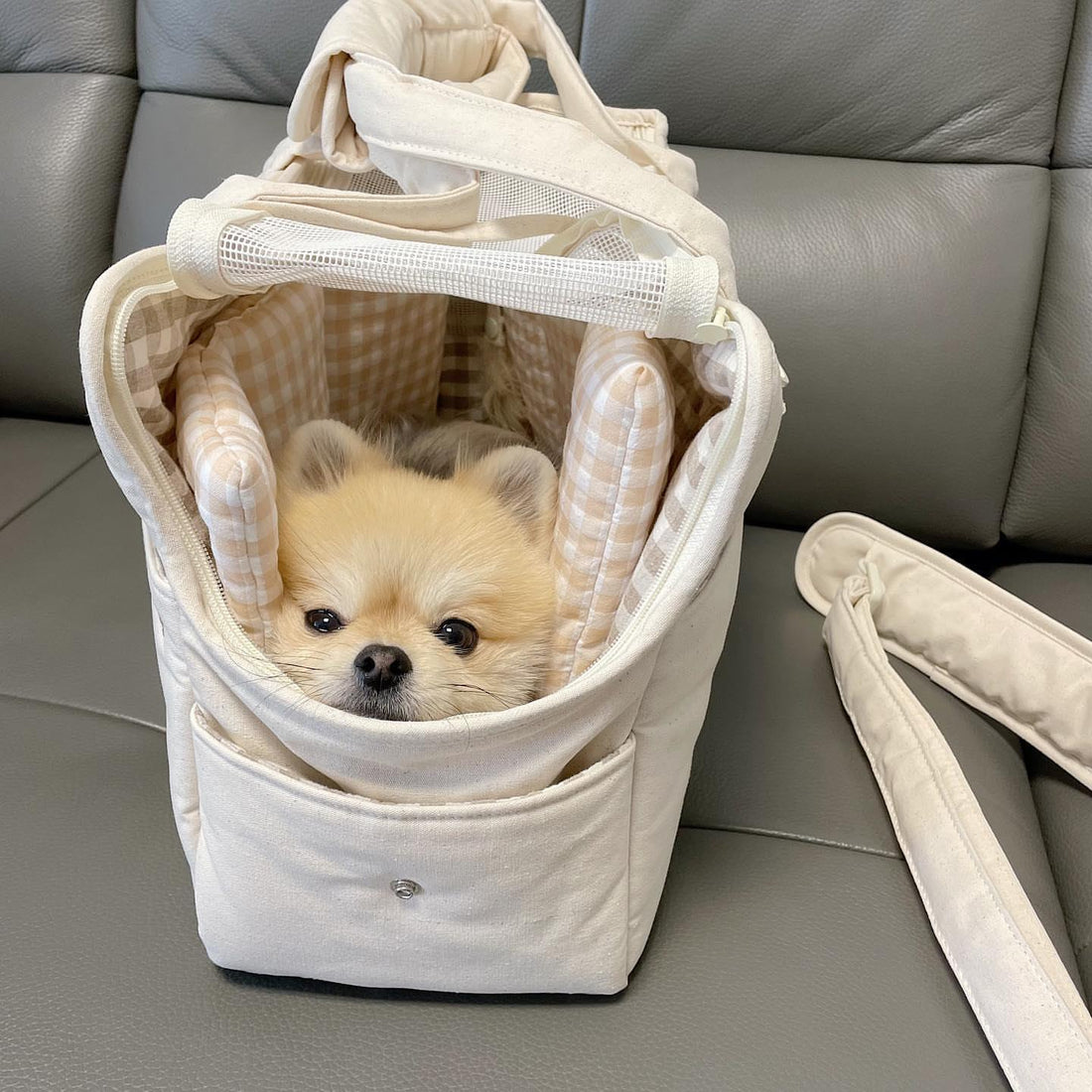 Borsa a tracolla per cani di piccola taglia