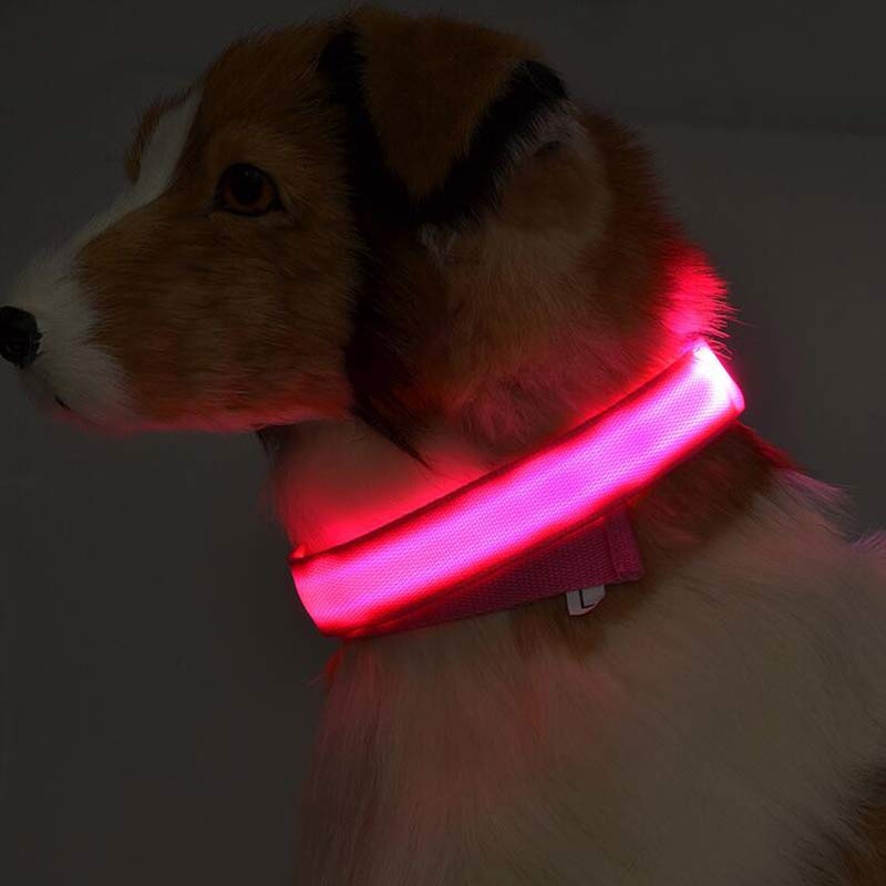 Collare luminoso a LED in nylon per animali domestici, sicurezza notturna, lampeggiante, che si illumina al buio, per cani e gatti, regolabile, forniture per animali domestici