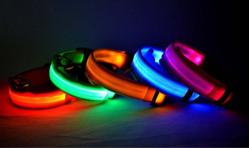 Collare luminoso a LED in nylon per animali domestici, sicurezza notturna, lampeggiante, che si illumina al buio, per cani e gatti, regolabile, forniture per animali domestici