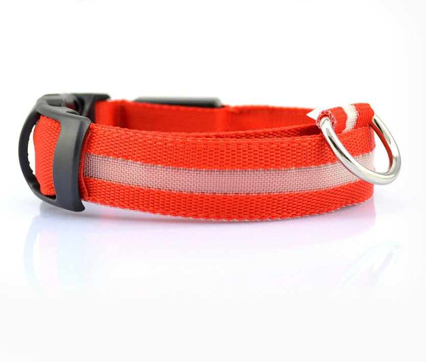 Collare luminoso a LED in nylon per animali domestici, sicurezza notturna, lampeggiante, che si illumina al buio, per cani e gatti, regolabile, forniture per animali domestici